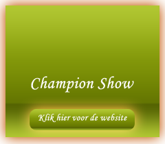 Champion-Show